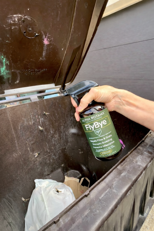 Why Summer Heat Turns Bins Into Fly Festivals